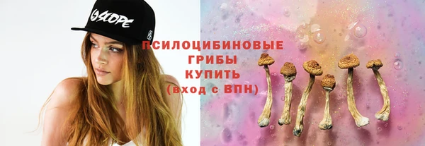 МДПВ Аркадак