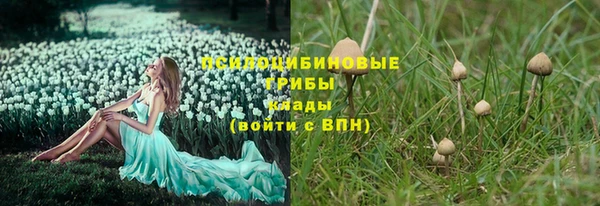 apvp Армянск