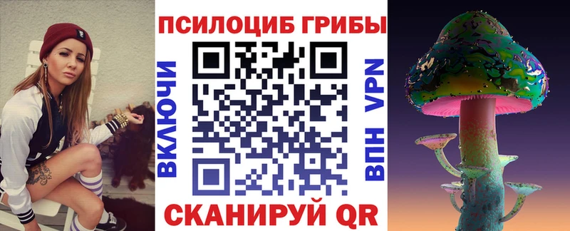 Псилоцибиновые грибы мицелий  где продают наркотики  Северо-Курильск 