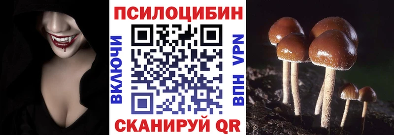 Псилоцибиновые грибы прущие грибы Северо-Курильск
